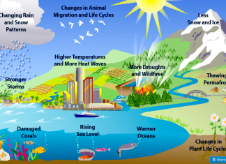 Pengertian Global Warming